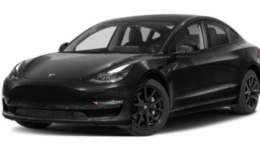 TESLA MODEL 3 2023 5YJ3E1EA0PF503559 image